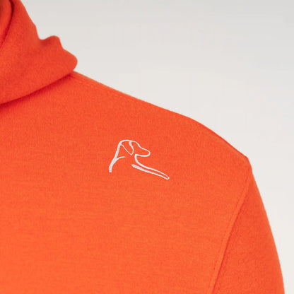 Hesi Collegiate Hoodie - Illinois